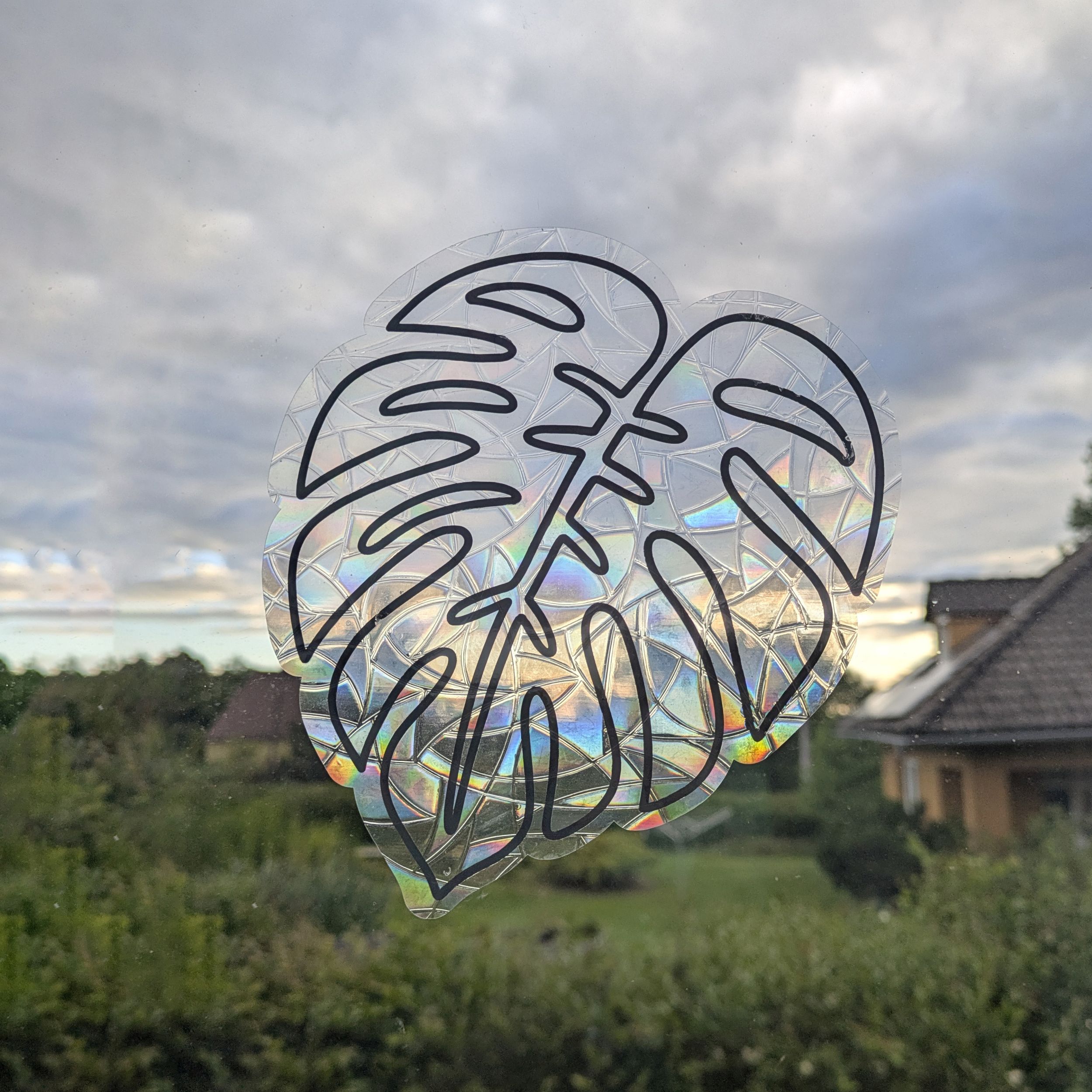 Lapač slunce Monstera
