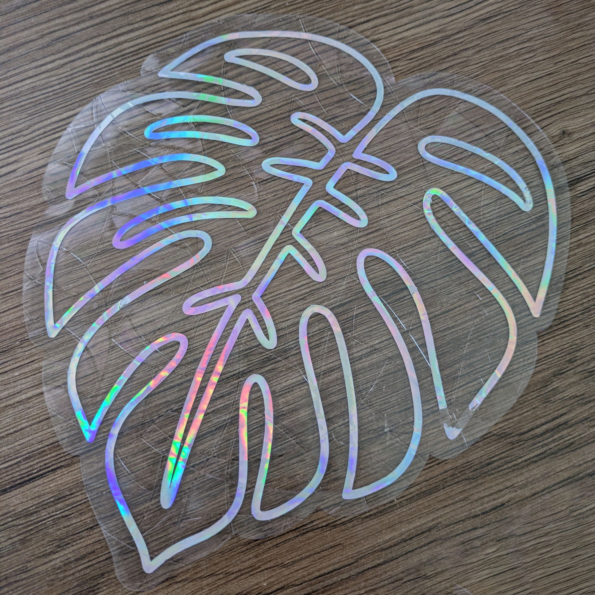 Lapač slunce Monstera